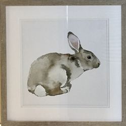 Picture of Brown Bunny l        GL150