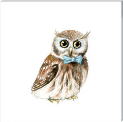 Picture of Oliver The Owl   CW00140