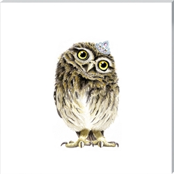 Picture of Princess Owl     CW00141