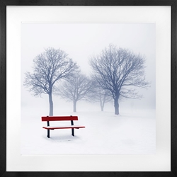 Picture of Foggy Winter Bench                GL367