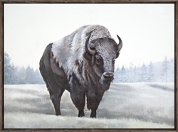 Picture of Lonely Bison         OP1635-1