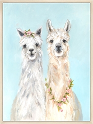 Picture of Two Lovely Llamas        OP2606-1