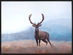 Picture of Calm Deer                OP2609-1